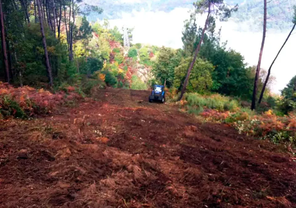 Imagen de trabajos de desbroce y mantenimiento en subestaciones eléctricas de parques eólicos.