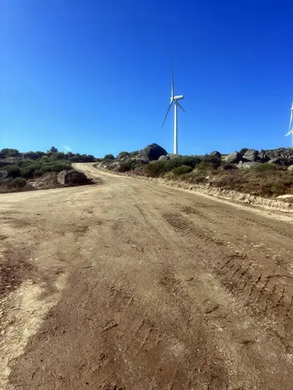 Camino rural con compactacion reciente y texturas uniformes.