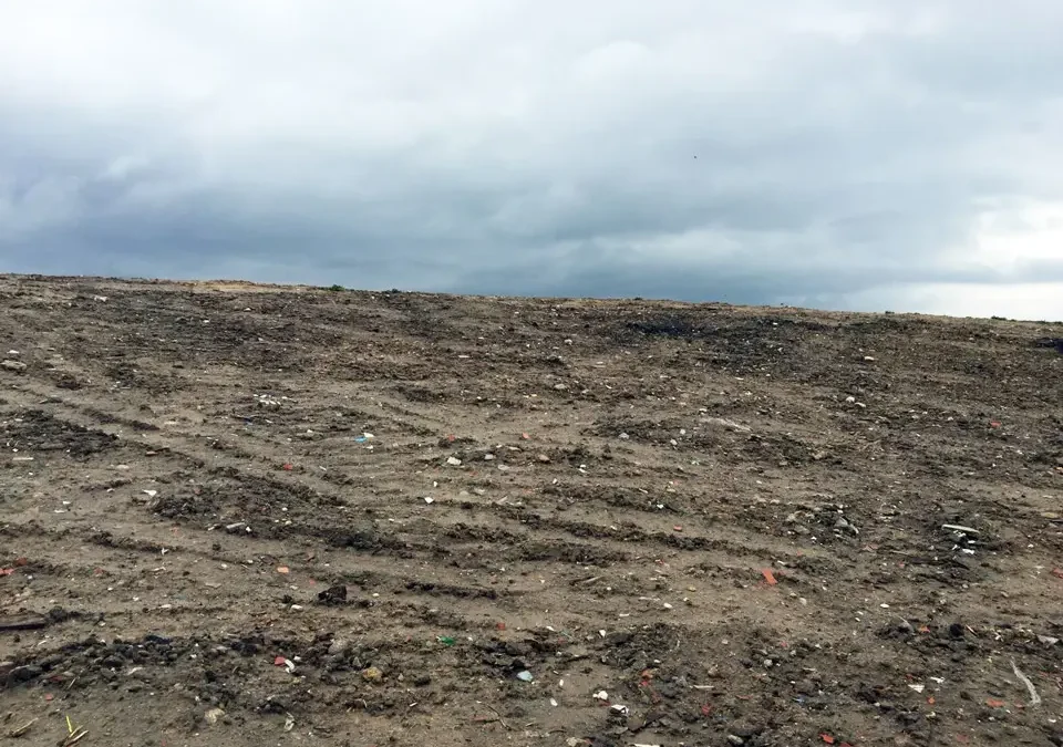 Imagen de los trabajos de recuperación paisajística y forestal en áreas degradadas del valle del Ambroz.