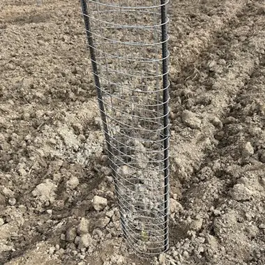 Terreno preparado con líneas de plantación marcadas para reforestación. Con criterios de restauración y protección ambiental.